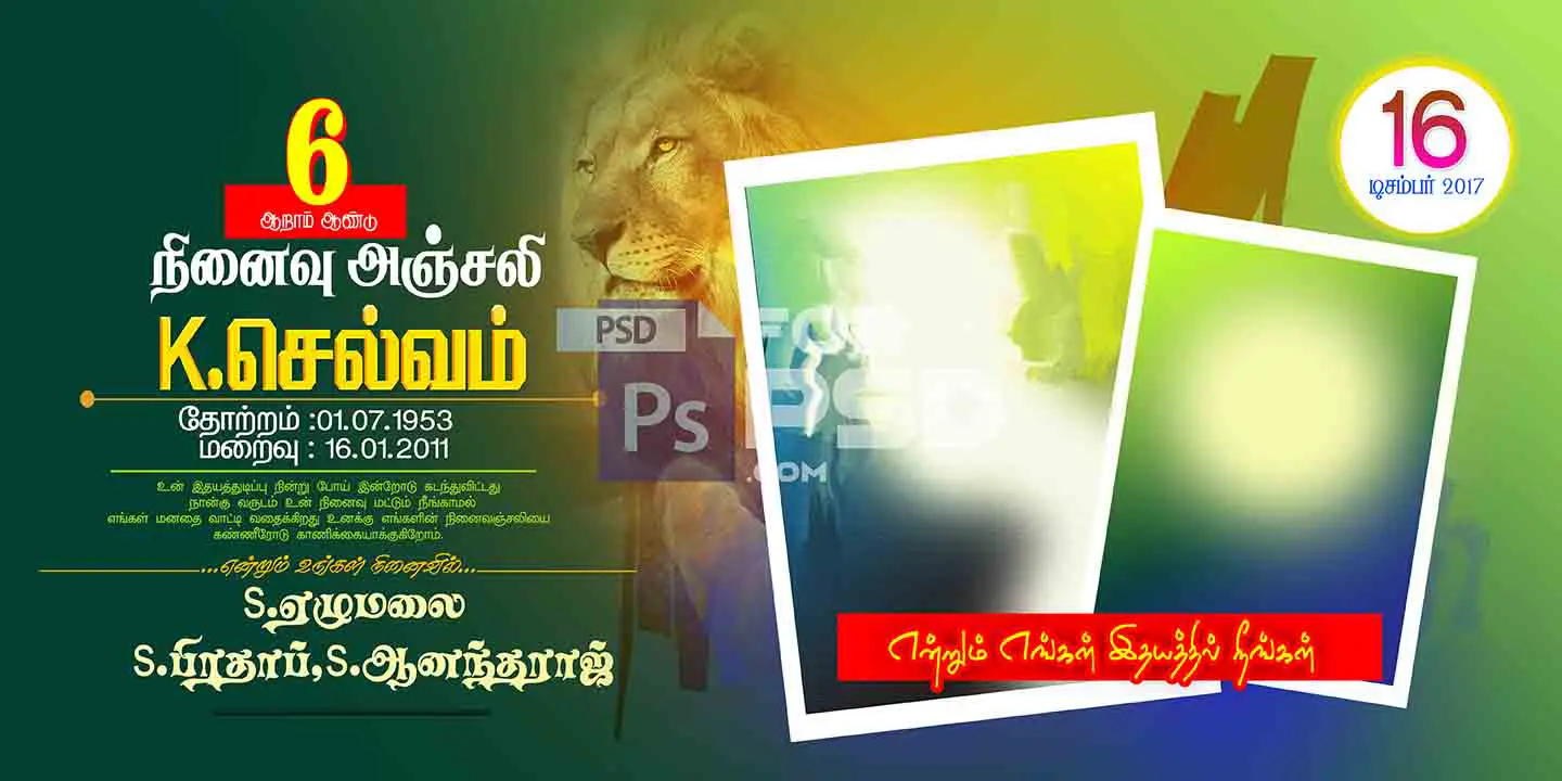 Image Preview